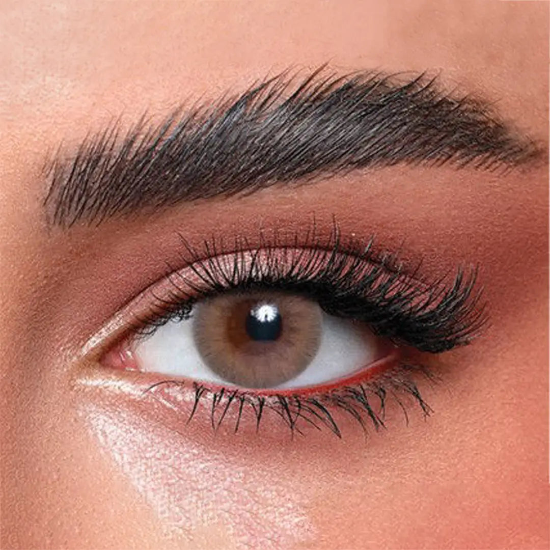 عدسات بيلا إيليت الشهرية - ساندي براون